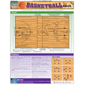 Basketball Basics- Laminated 2-Panel Info Guide